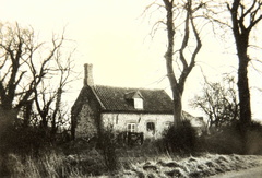 A chalk Cottage, on the site of the present Butterfly House, 1959.
