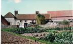 Church Farm, 1990