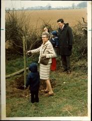 Mrs Tuck  planting a tree in the WI Hall car park. 1973