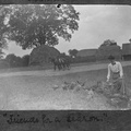 Feeding ducks at Church Farm, with horse