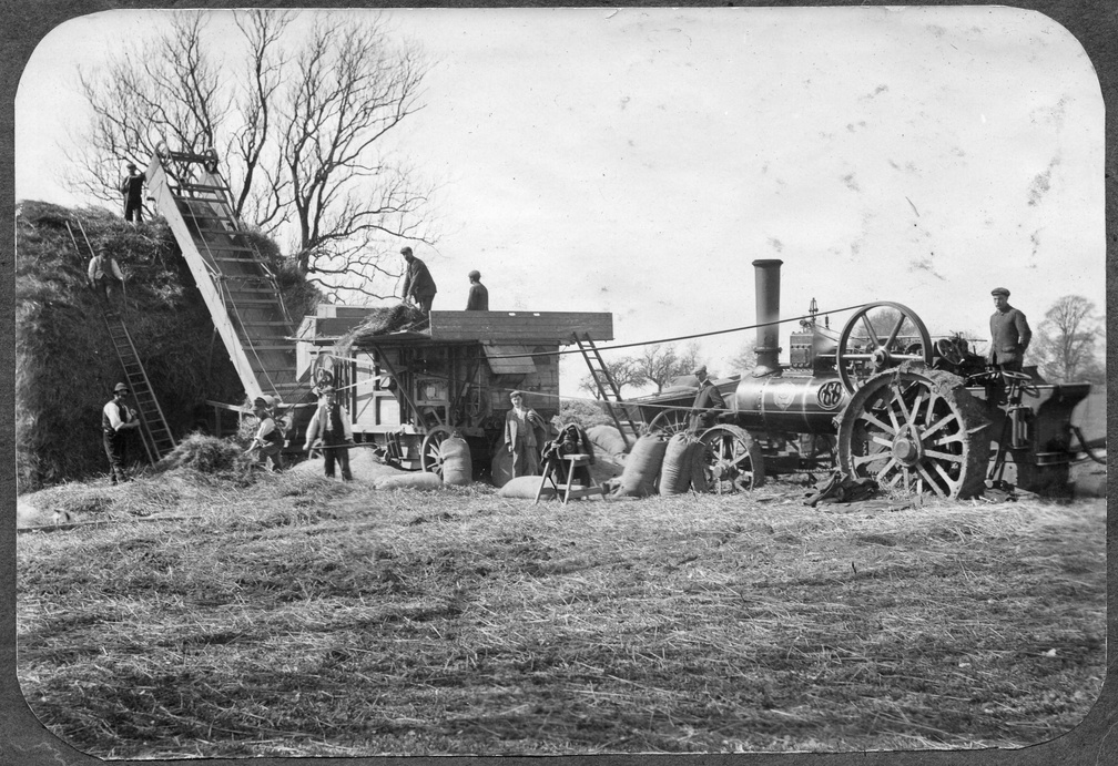 Harvesting with steam engine