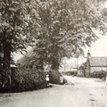 The Street looking east, Cross Lane, Methodist chapel with elm trees, four children. Postcard, c 1930s.