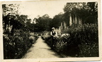Stanley Ayres (gardener for Col. Seymour) at Barwick House gardens in 1930s
