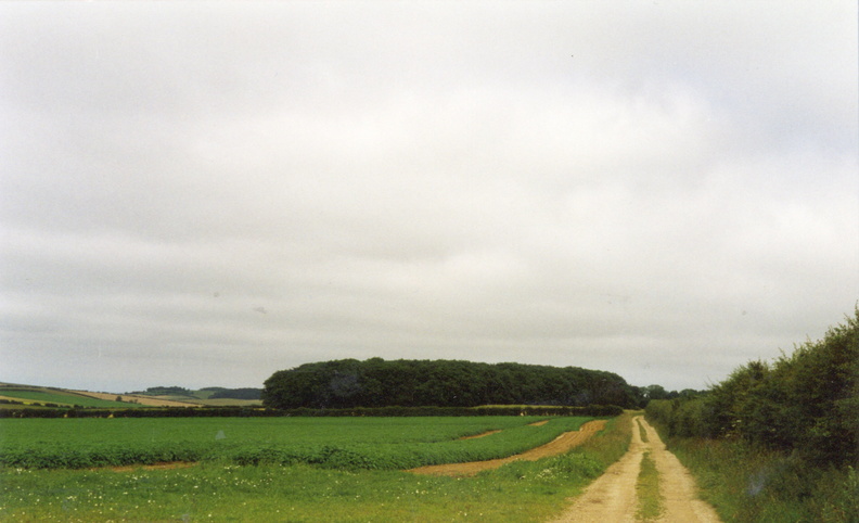 Bridleway from Station Rd to High Barn, 1997