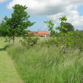 Playing field, Tom Holmes' memorial trees, June 2007