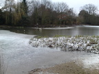 The frozen pond