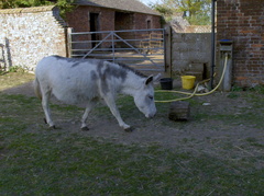 2011 - The farmyard at Station Farm, Stanhoe