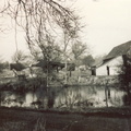 The pond at Church Farm