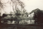 The pond at Church Farm