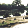 the pond and Flint Cottage