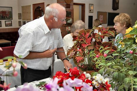 Judging in progress at the Flower Show